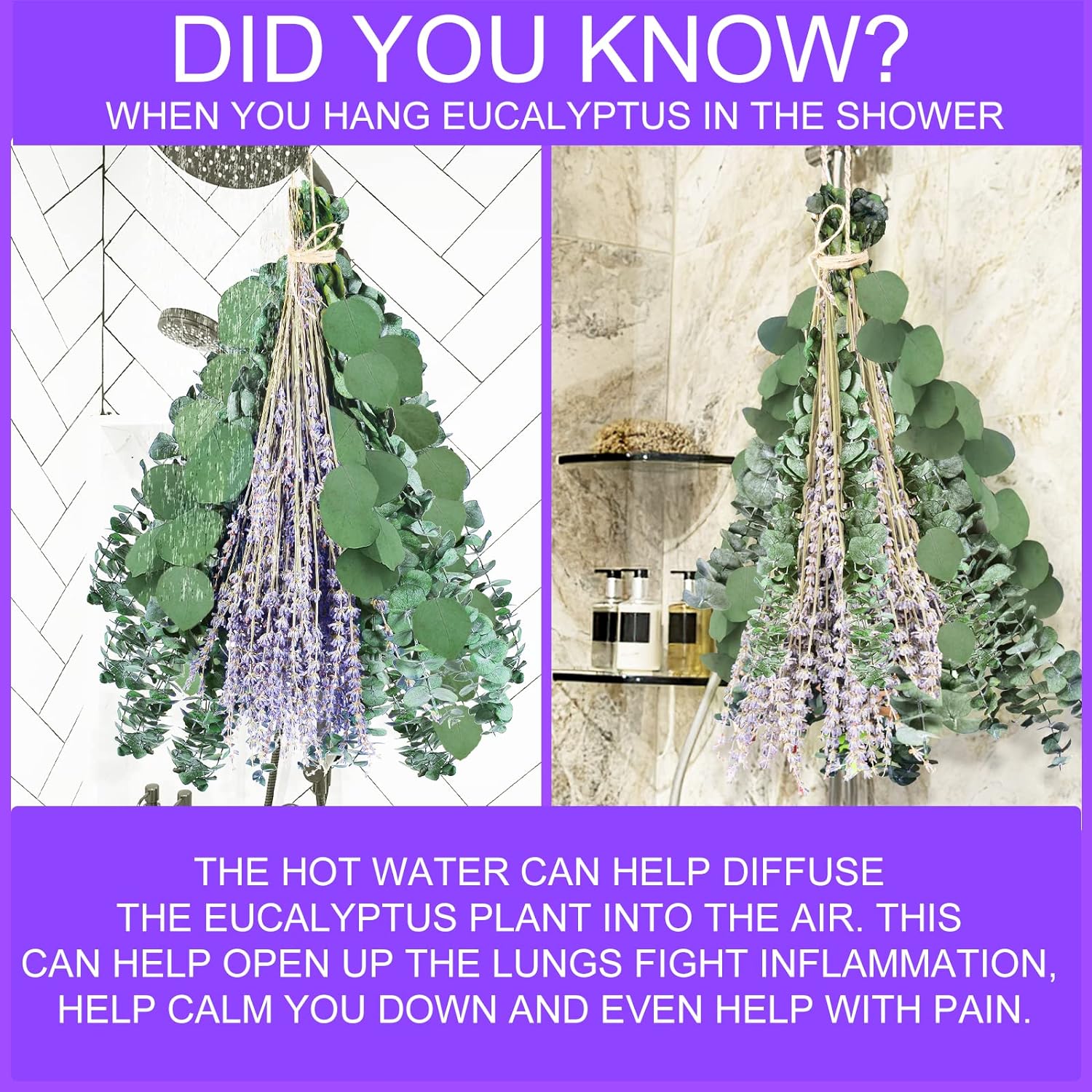 Fresh Eucalyptus and Lavender Shower Bunch